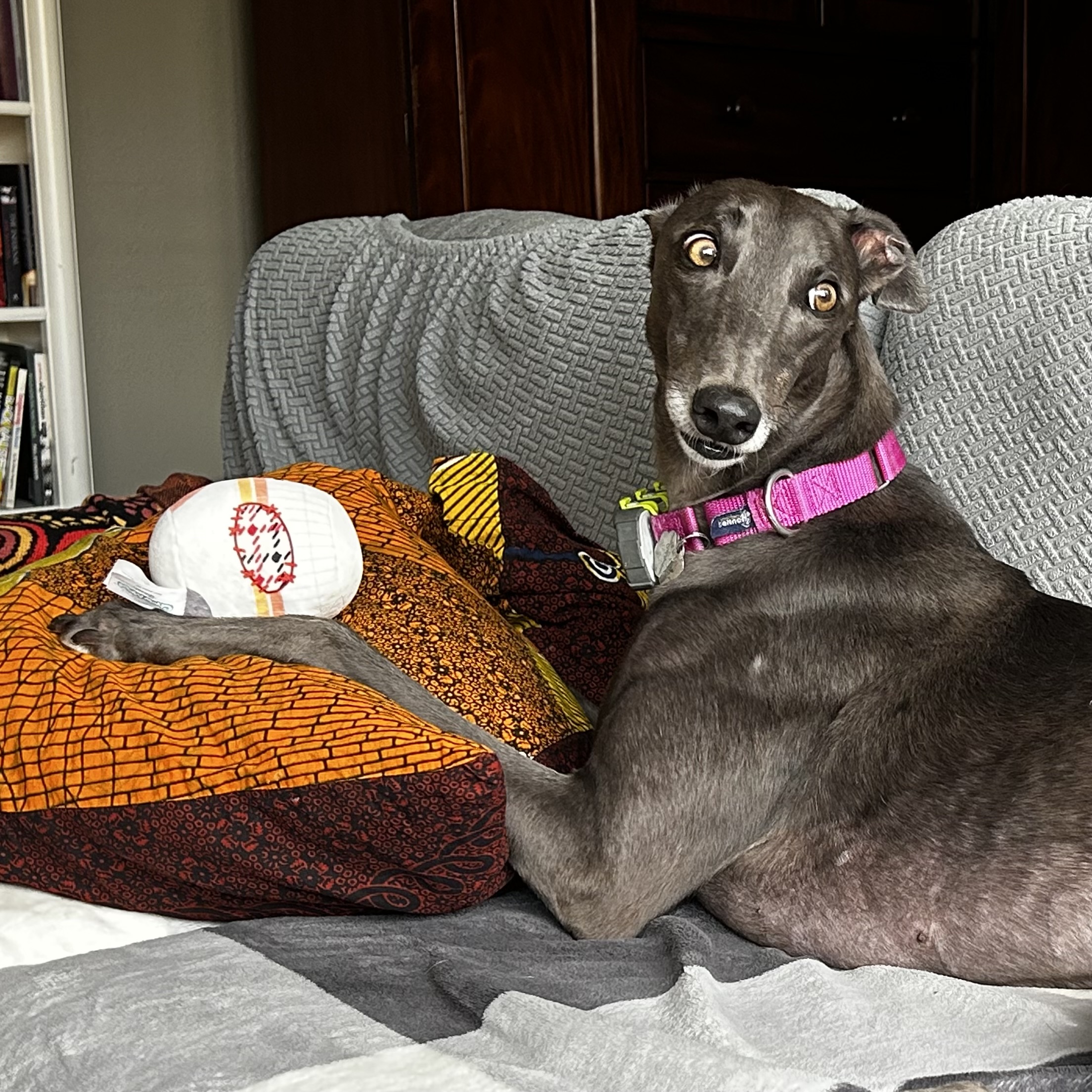 Girlie's off to a new home!