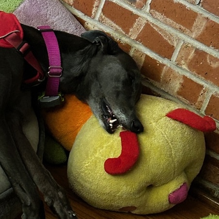 Great progress, Girlie!