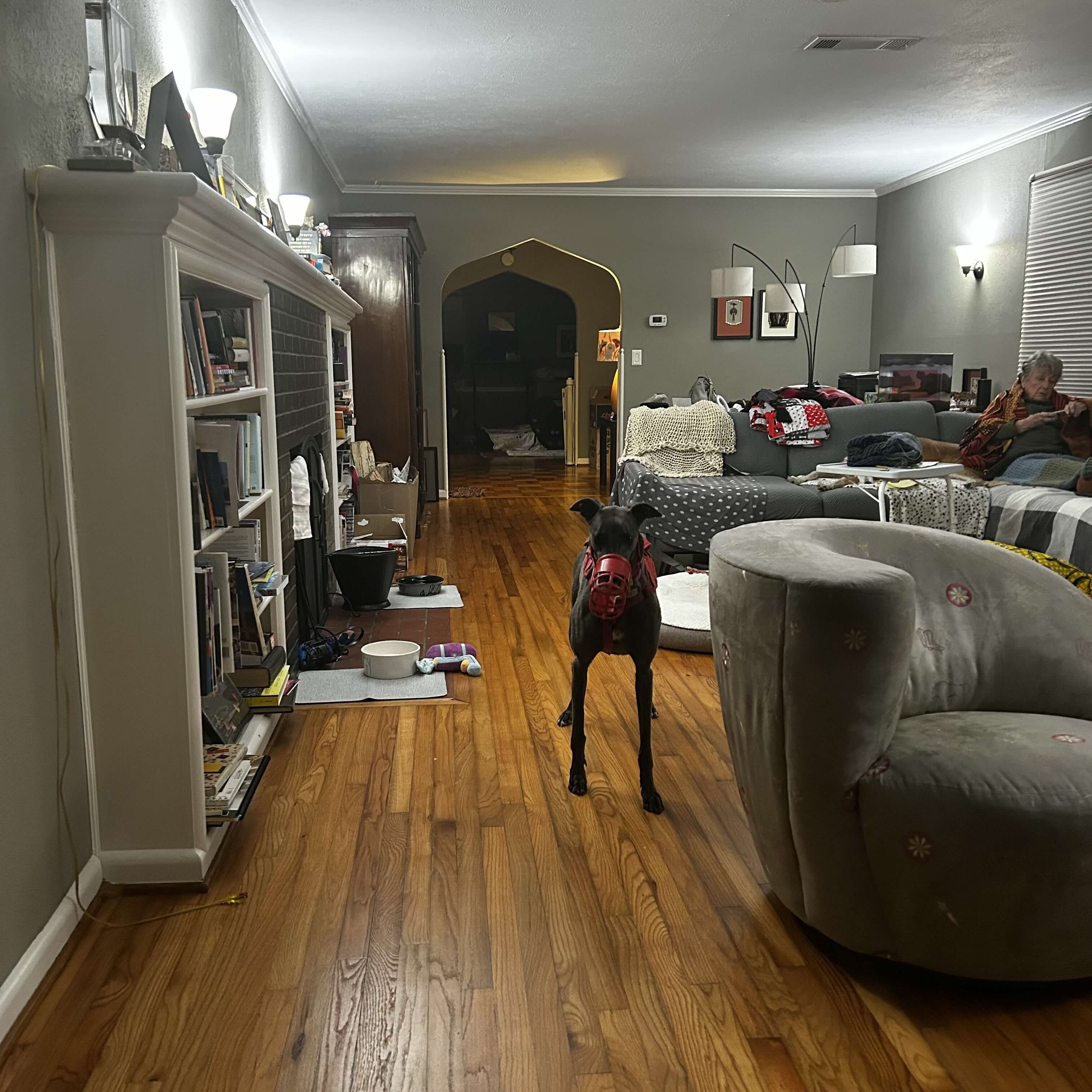 Girlie testing the length of the lead